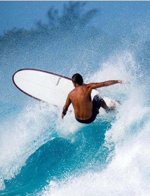 Torq Longboard surfboard 8ft 6 Package - Palm Fibre Pattern