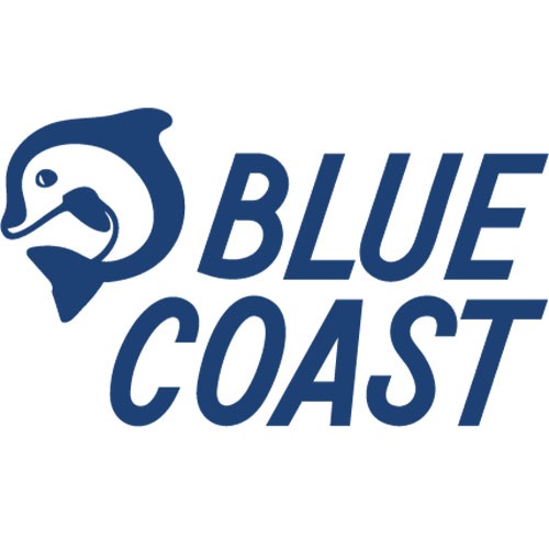Blue Coast Surf School